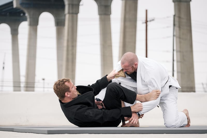 Jiu-Jitsu Techniques